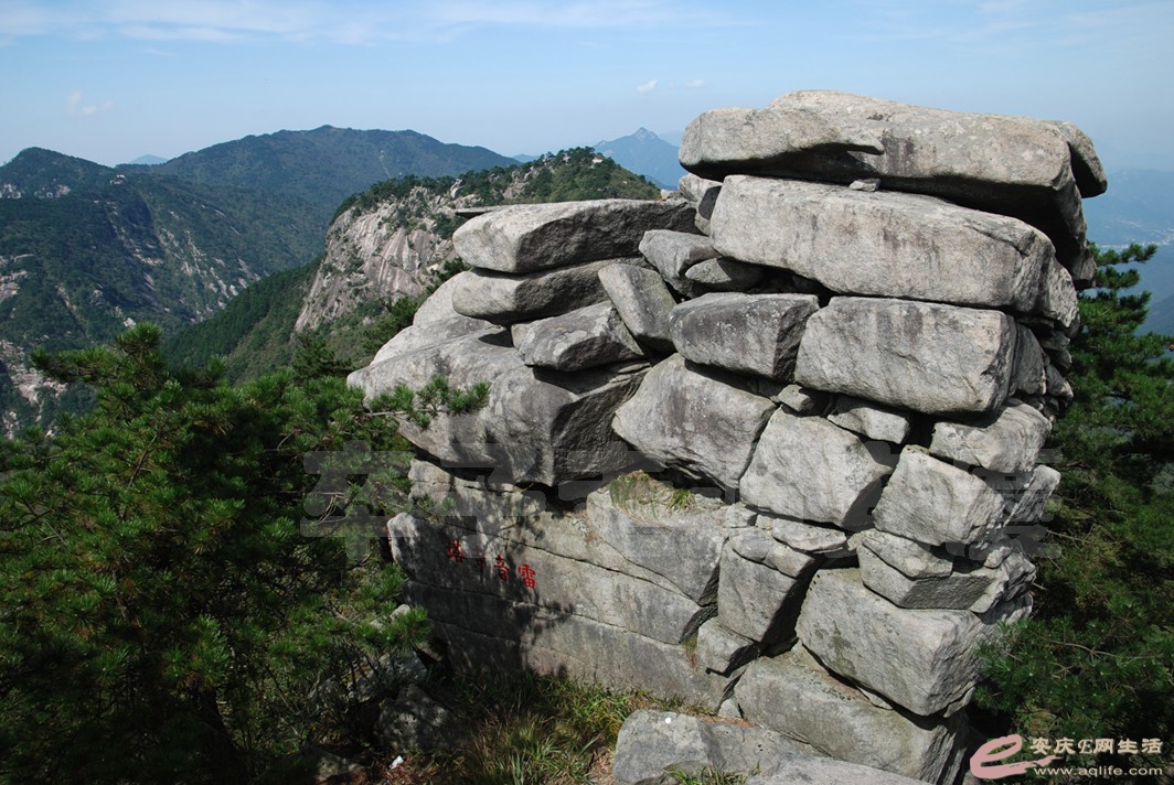 DSC_7708.jpg