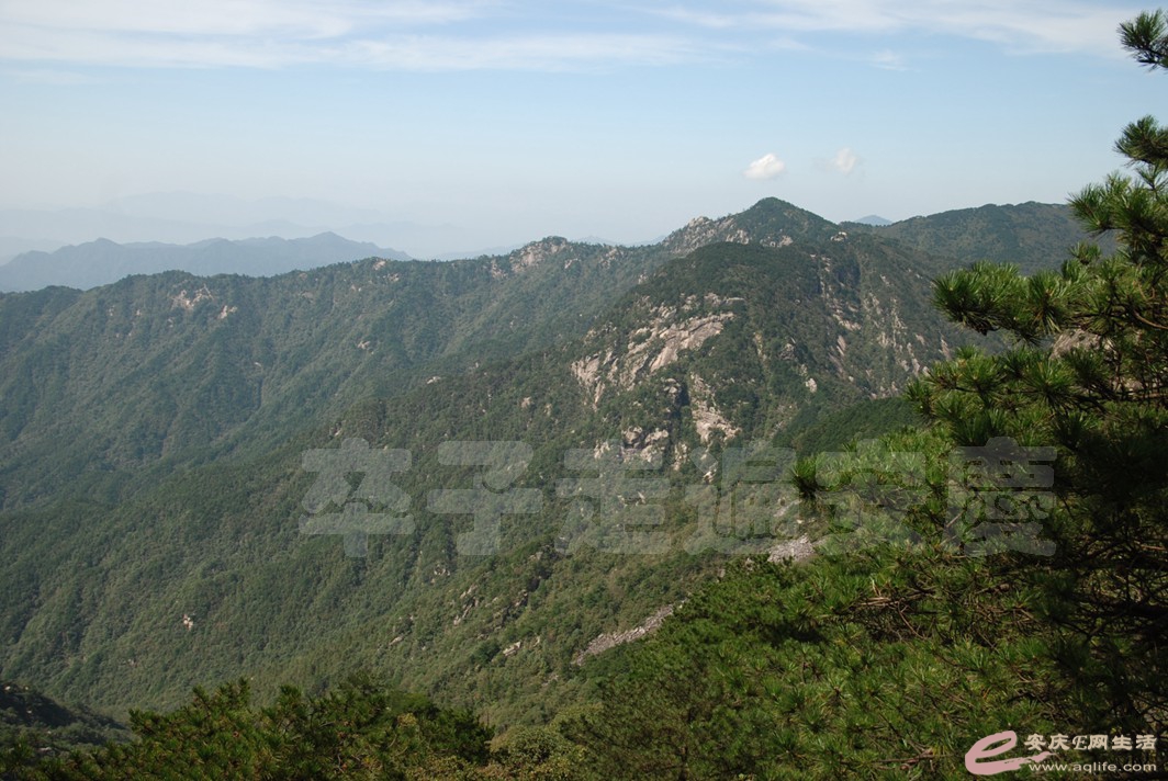 DSC_7683.jpg