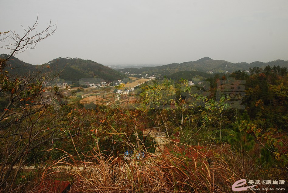 DSC_2198.jpg