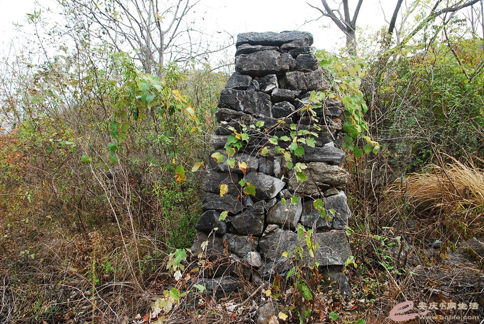 DSC_2213.jpg