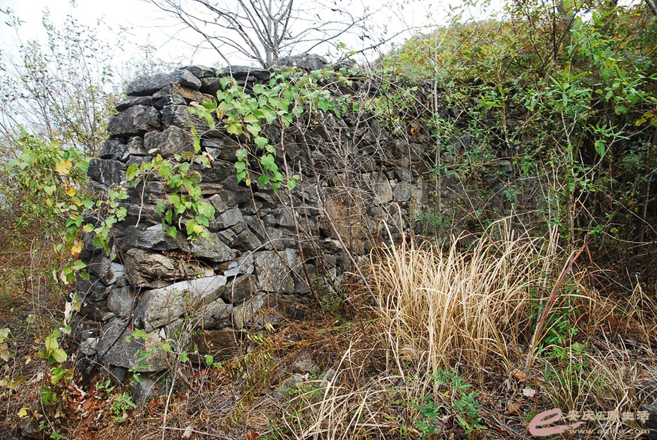DSC_2216.jpg