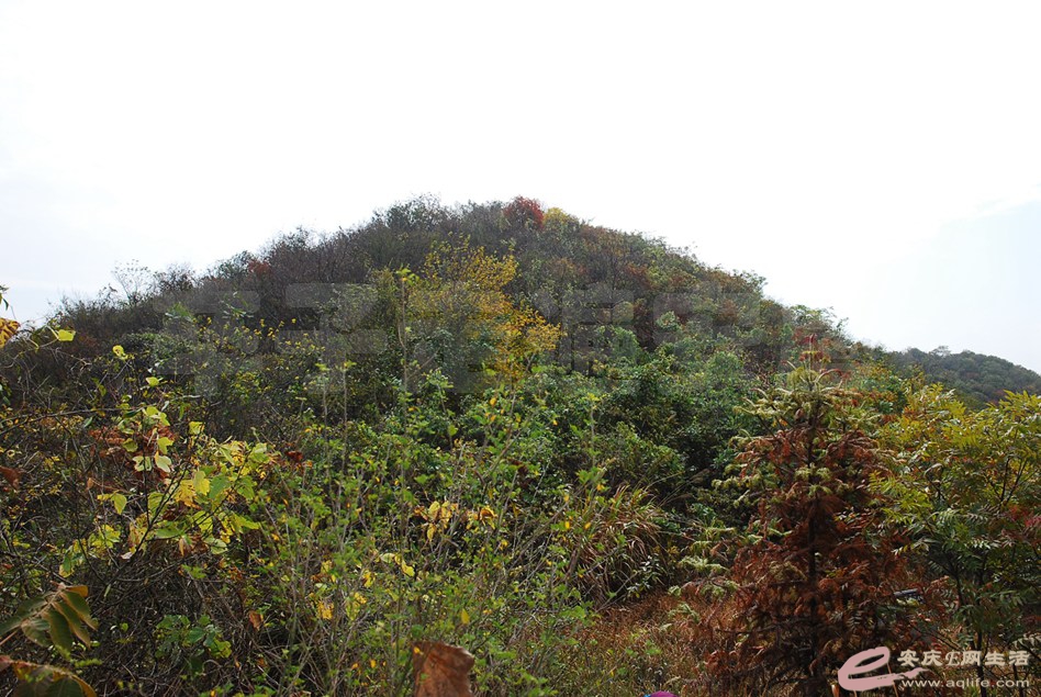 DSC_2248.jpg