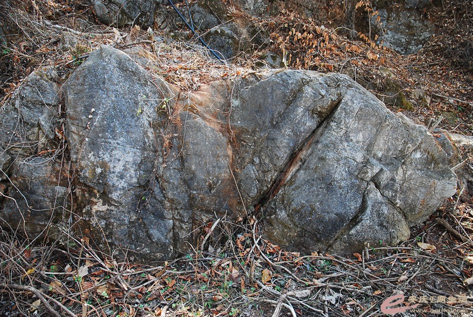 DSC_2279.jpg