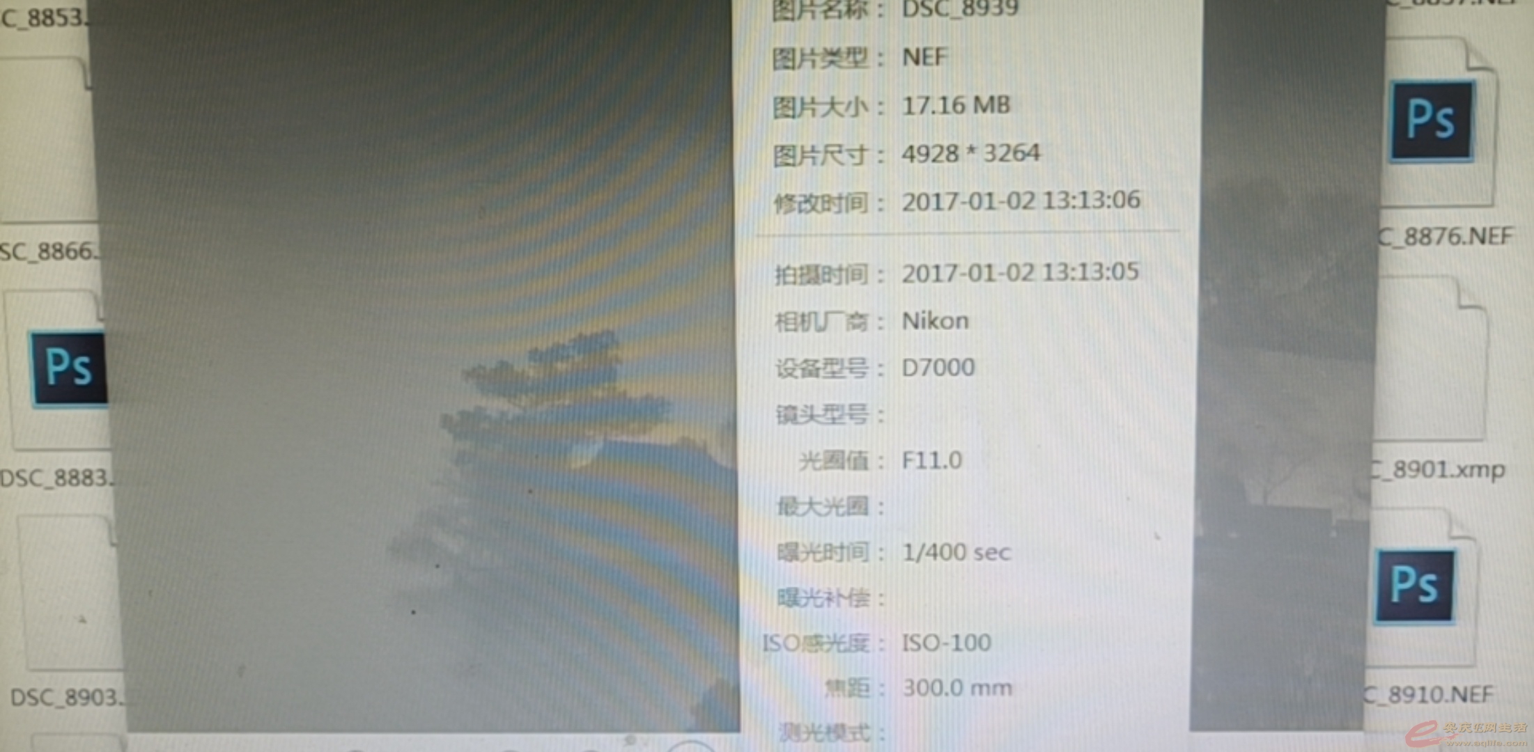 1667273548318787.jpeg