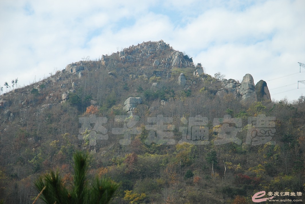 DSC_9650.jpg