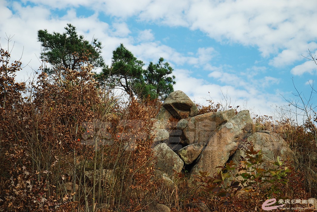DSC_9653.jpg