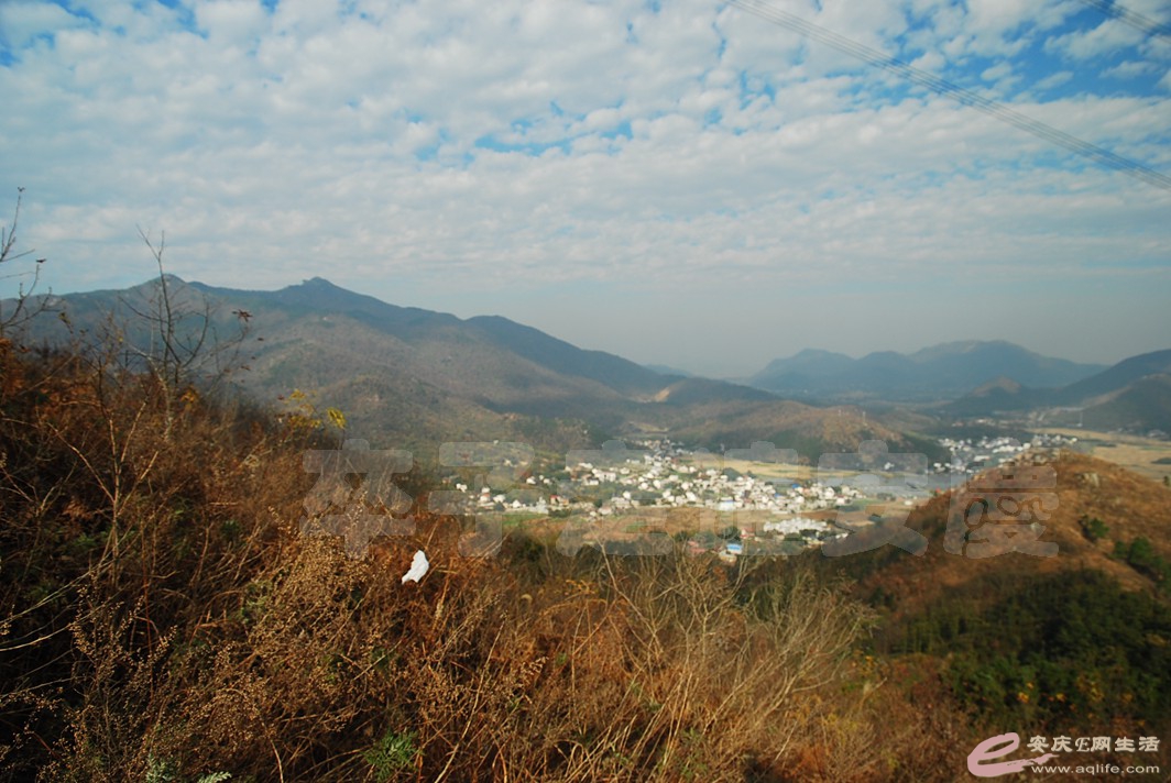 DSC_9696.jpg