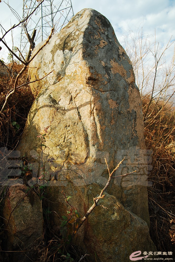 DSC_9710.jpg
