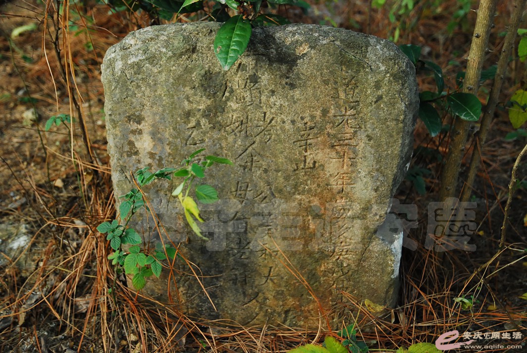 DSC_9749.jpg