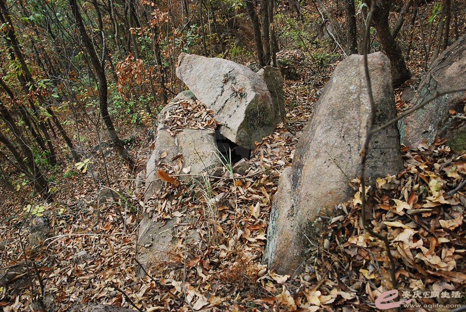 DSC_2446.jpg