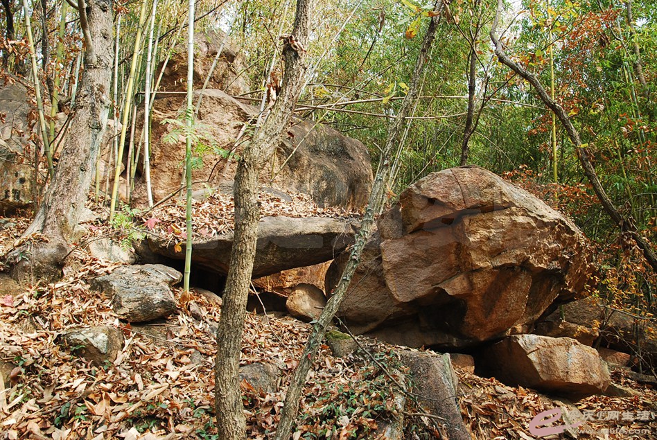 DSC_2450.jpg