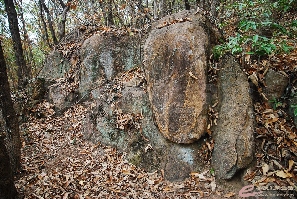DSC_2478.jpg