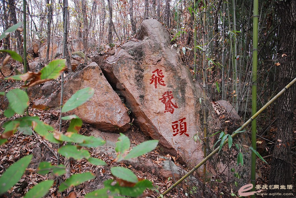 DSC_2485.jpg