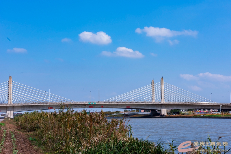 D81_4669_.jpg