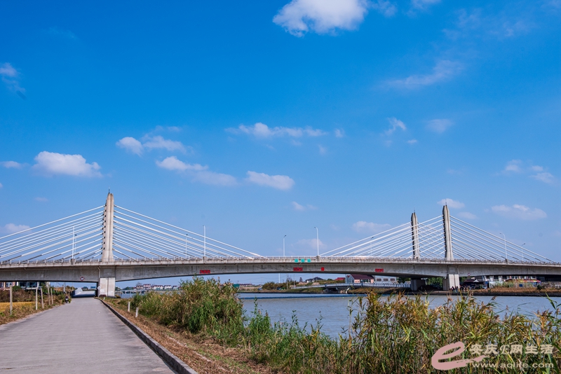 D81_4679_.jpg
