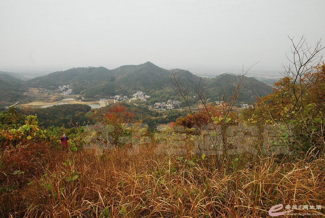 DSC_2157.jpg