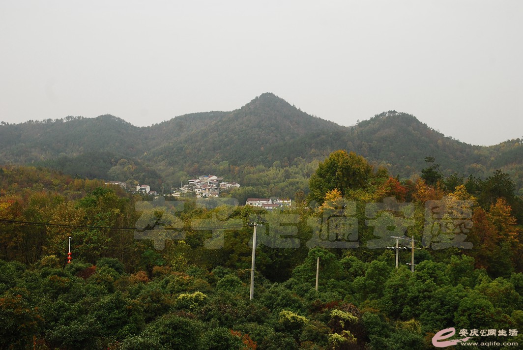 DSC_2174.jpg