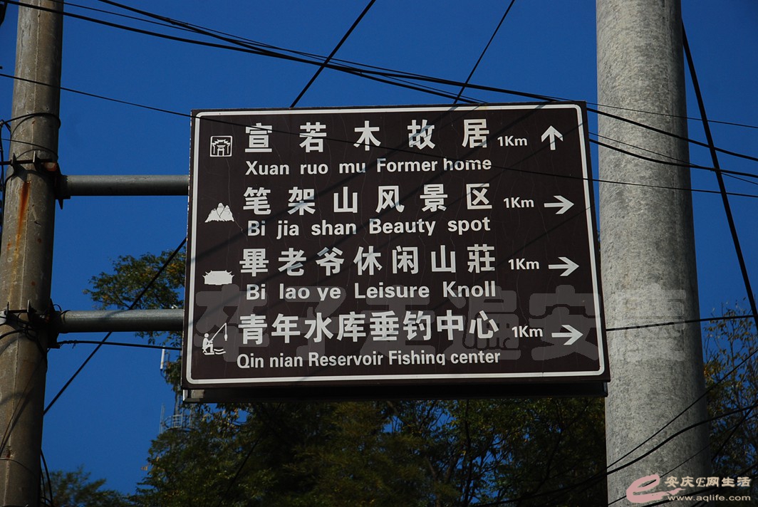 DSC_2166.jpg
