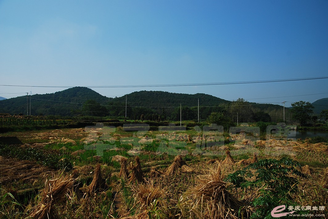 DSC_9794.jpg