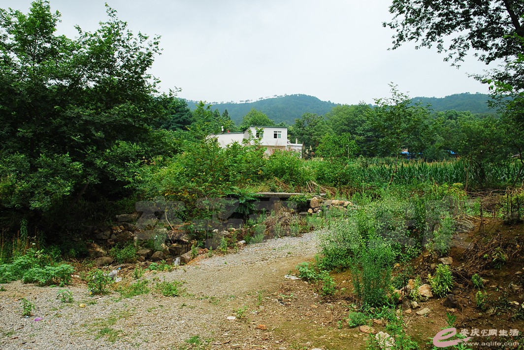 DSC_7737.jpg