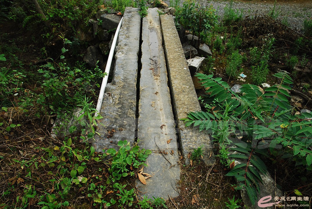 DSC_7756.jpg