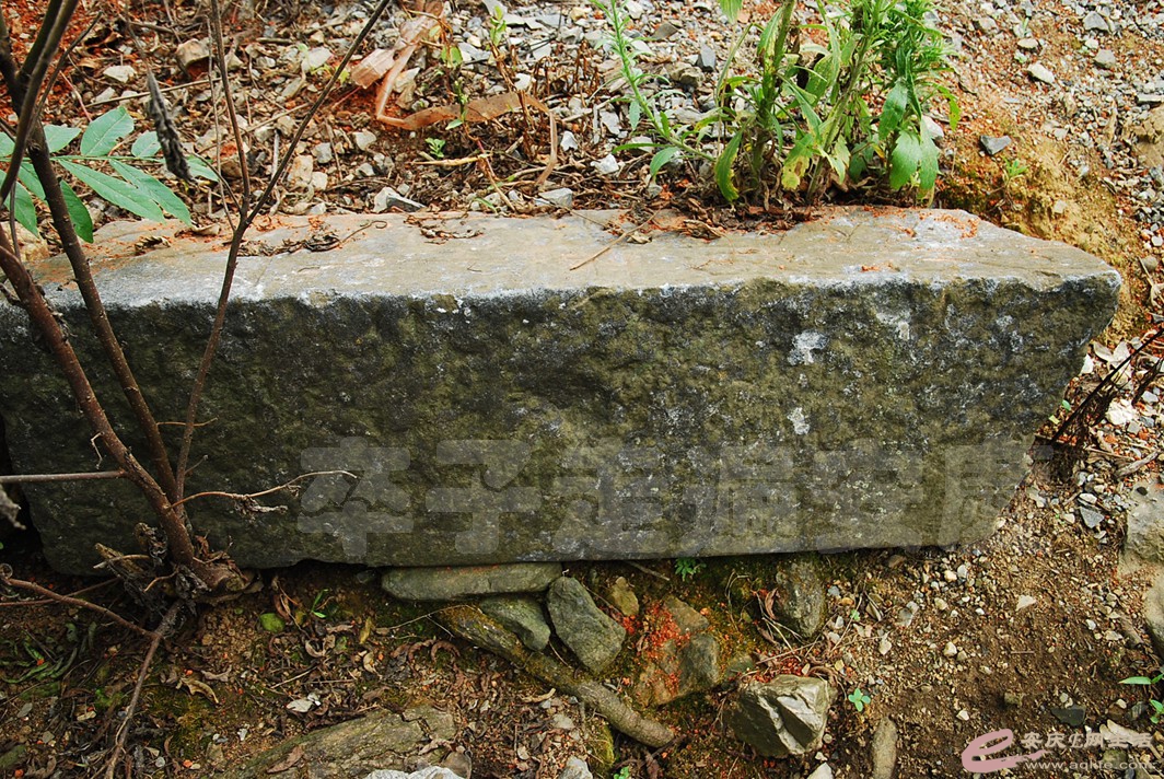 DSC_7765.jpg