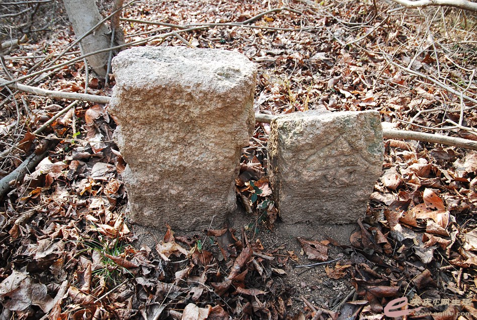 DSC_2905.jpg