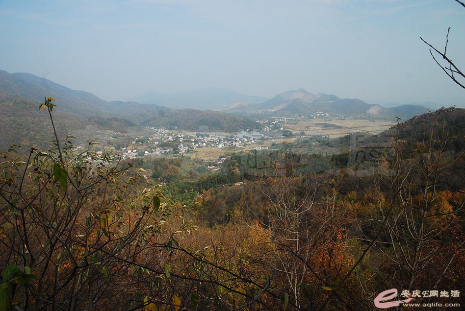 DSC_2944.jpg