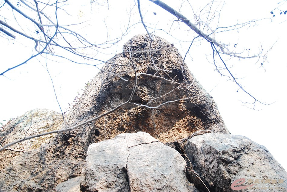 DSC_2959.jpg