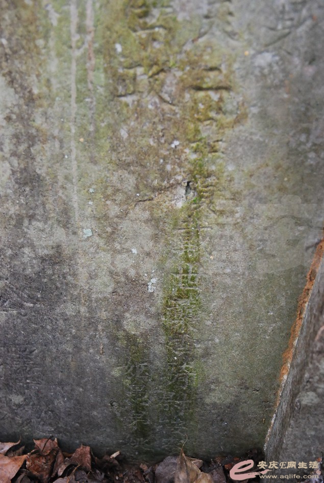 DSC_2760.jpg