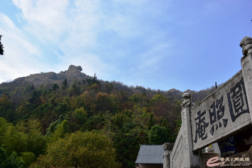 DSC_0087.JPG