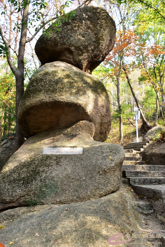 DSC_0051.JPG