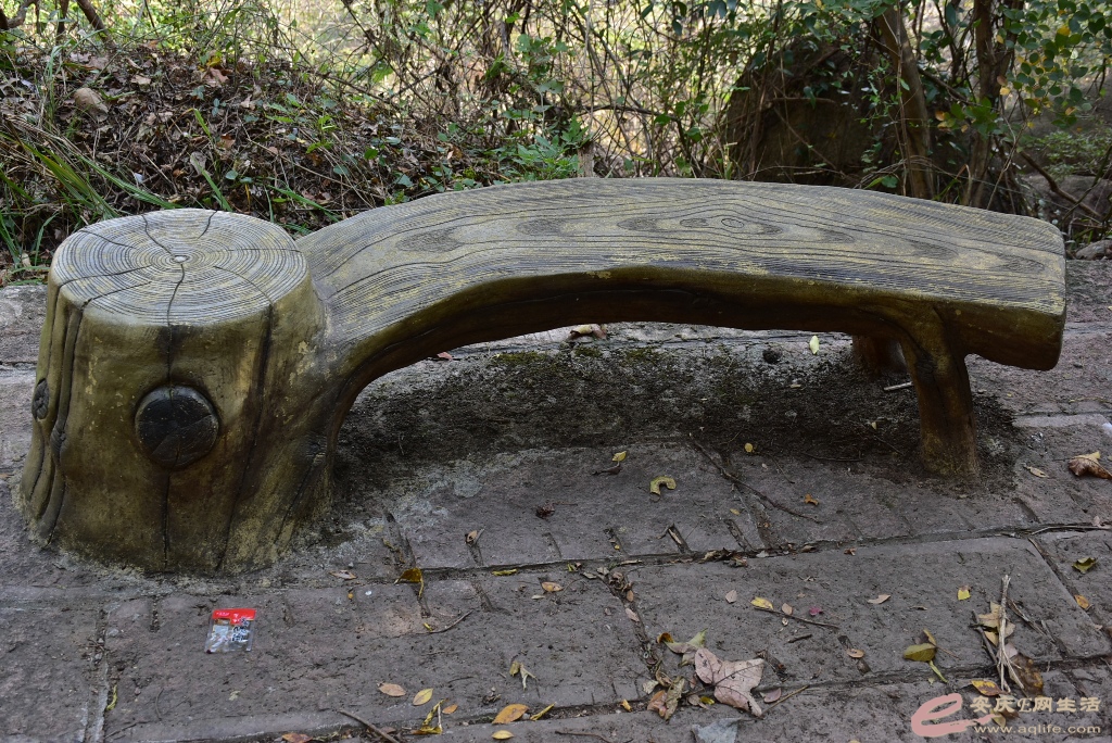 DSC_0117.JPG