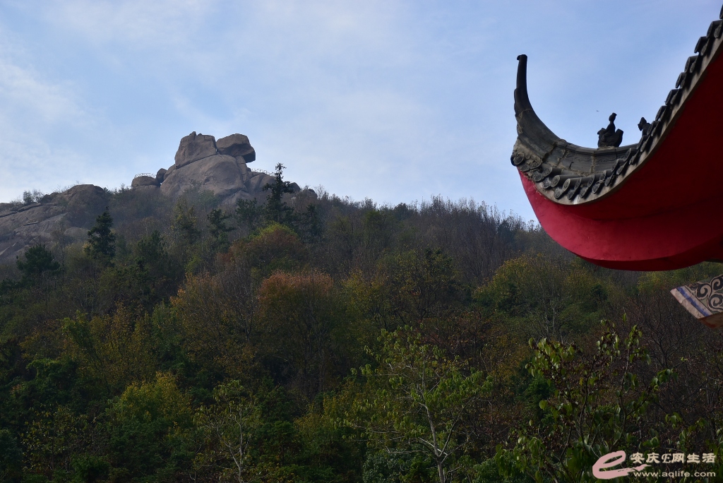 DSC_0085.JPG