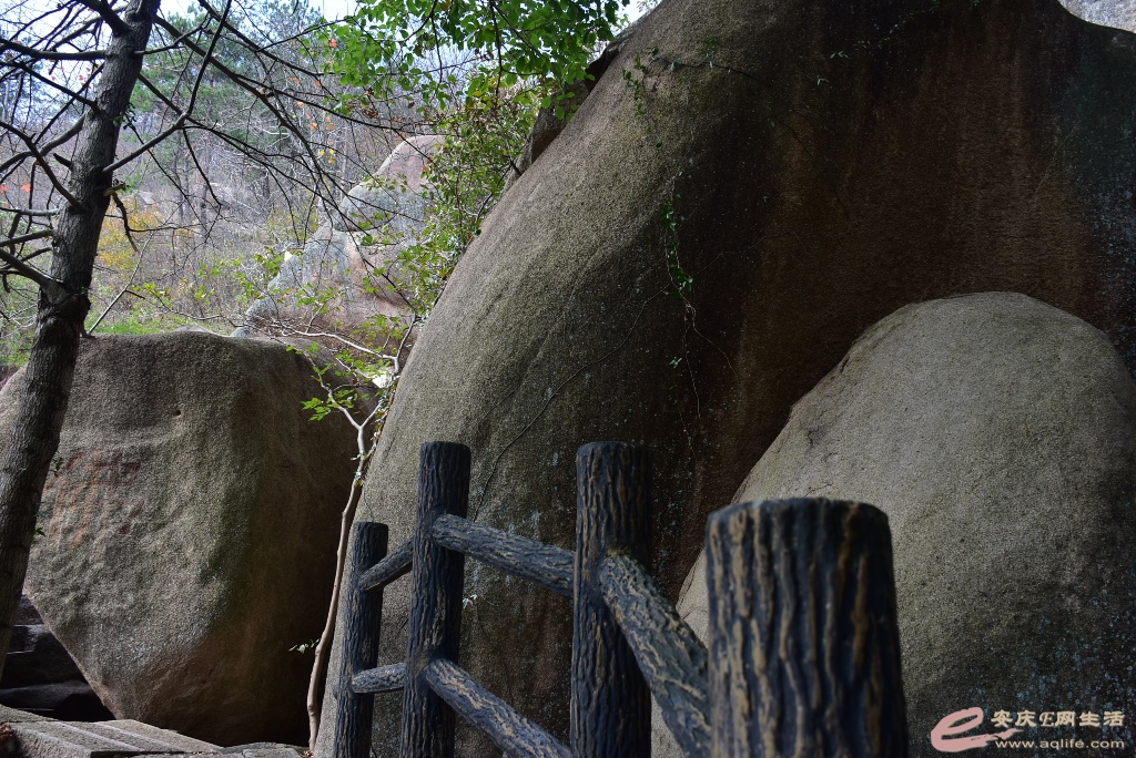 DSC_0098.JPG