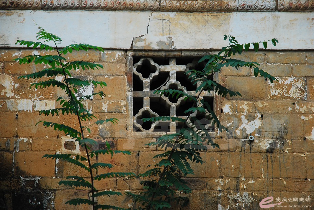 DSC_9629.jpg