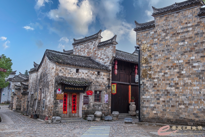 D81_4872_.jpg