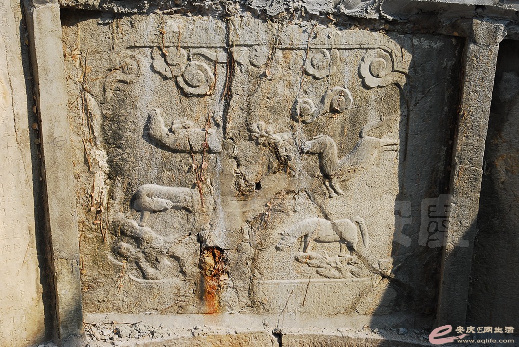 DSC_1223.jpg