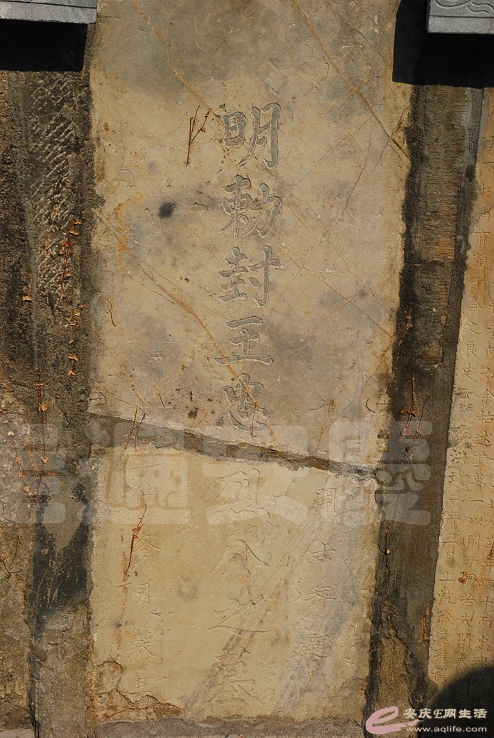 DSC_1228.jpg