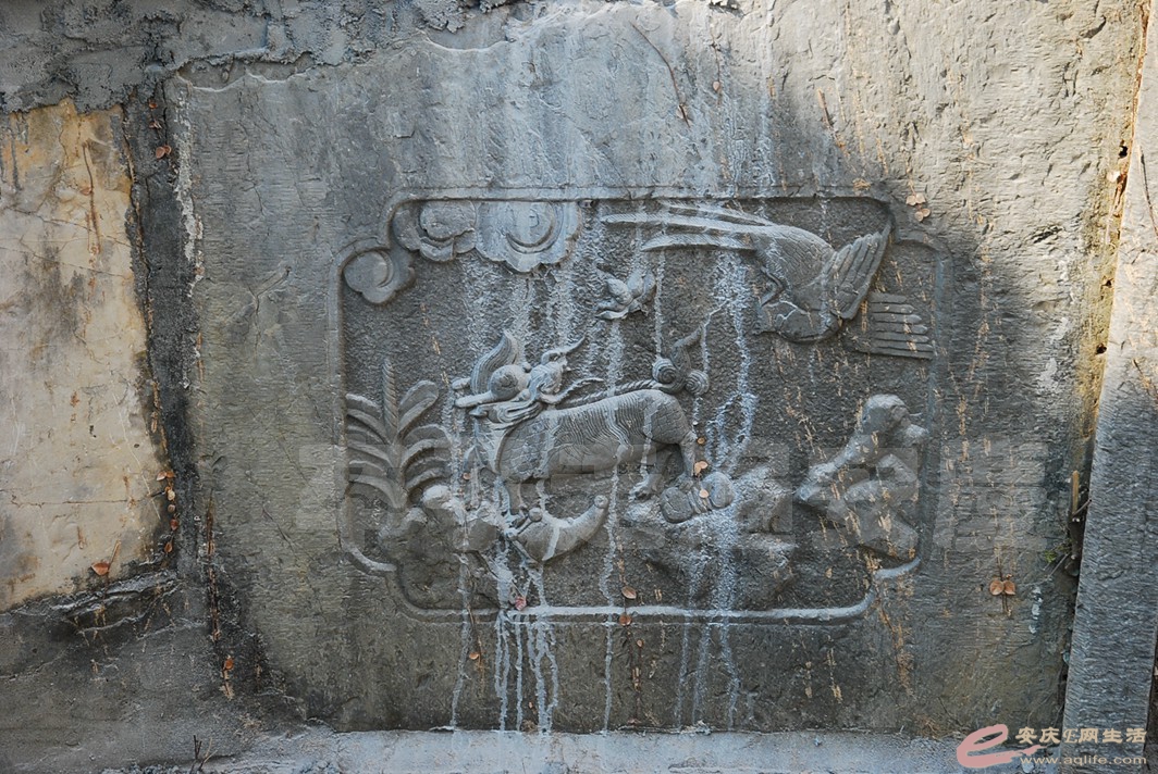 DSC_1233.jpg