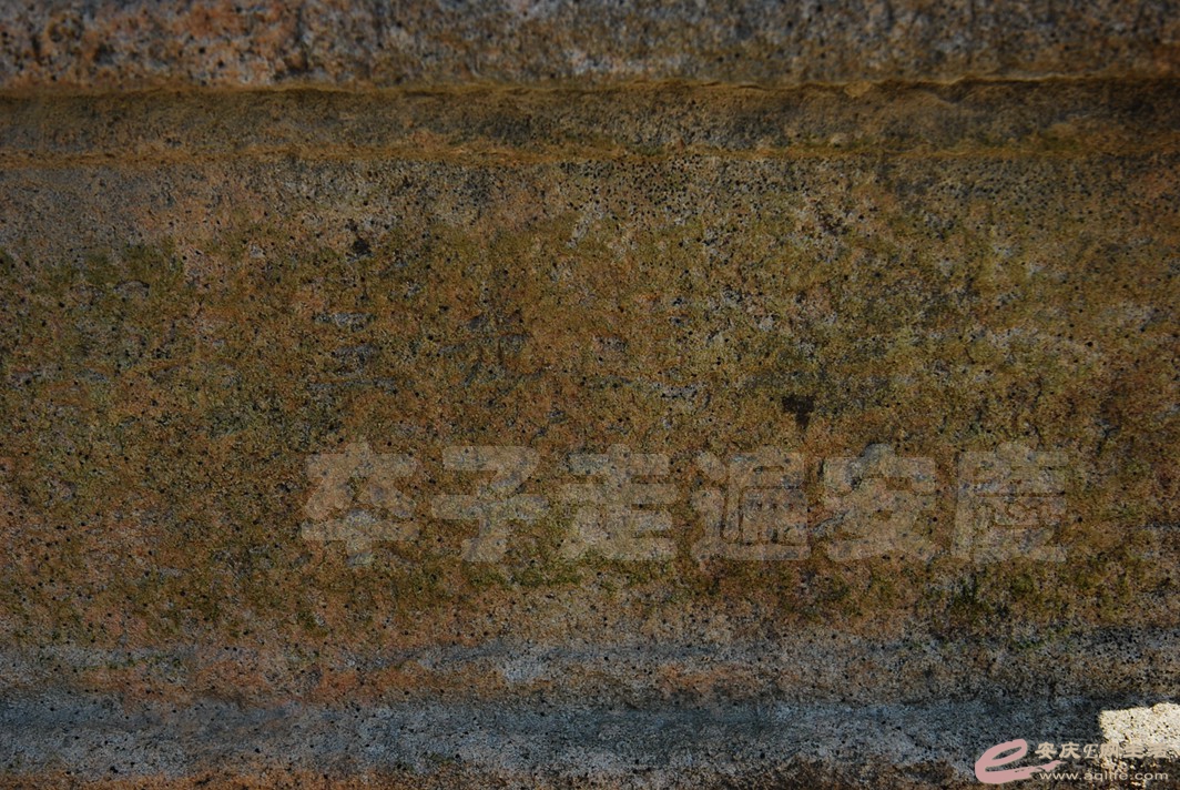 DSC_4059.jpg