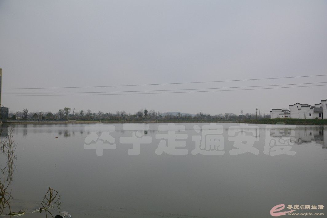 _0006391.jpg