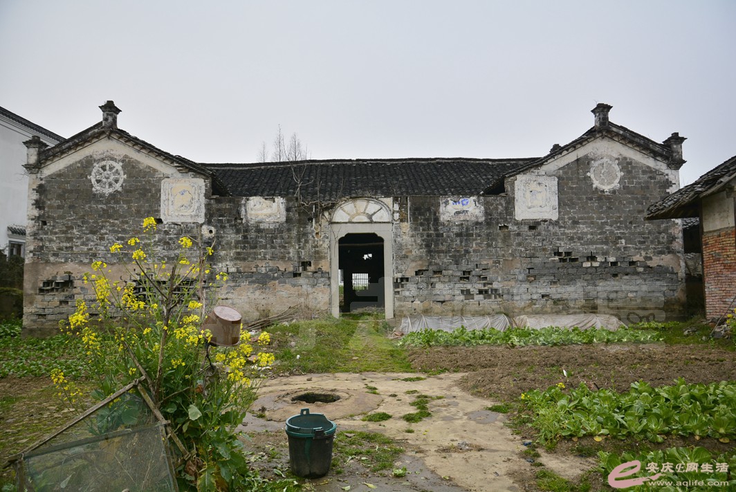 _0006400.jpg