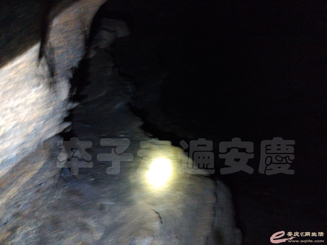 IMG_20220925_110857.jpg
