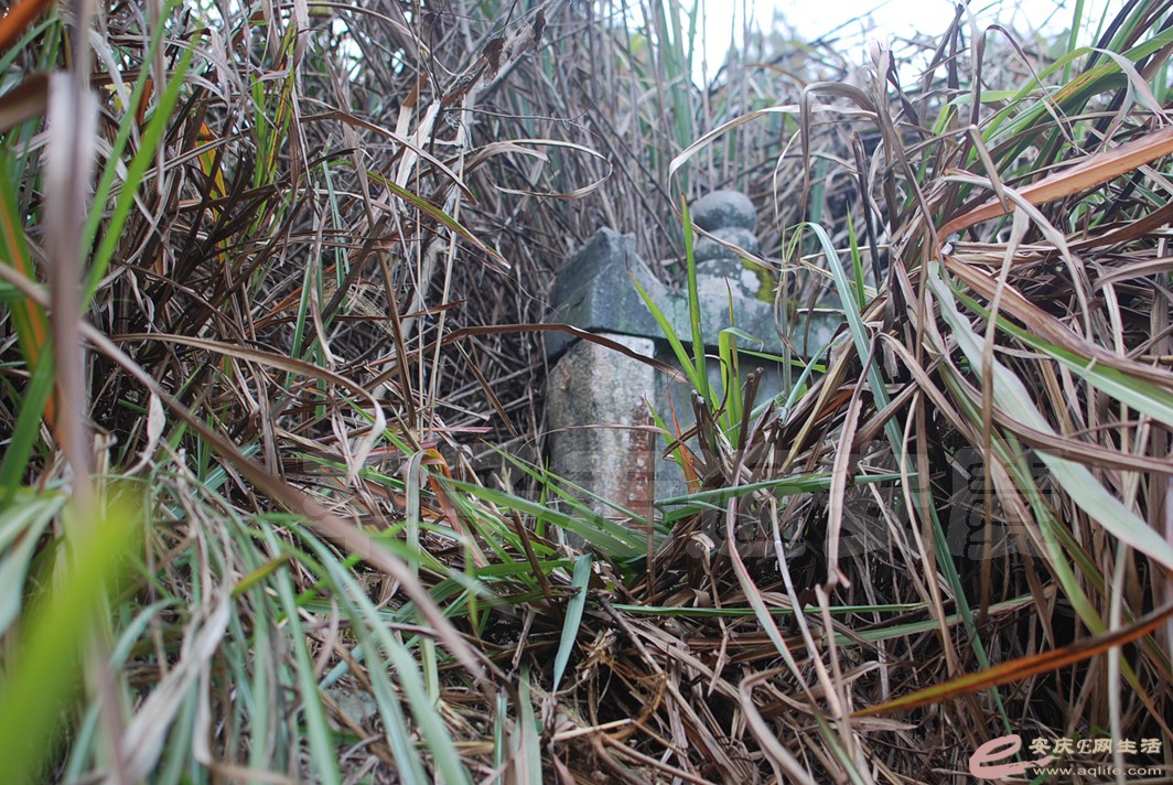 DSC_0664.jpg