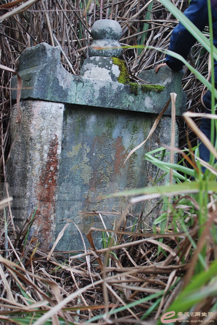 DSC_0667.jpg