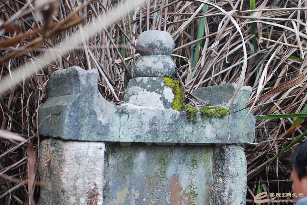 DSC_0671.jpg