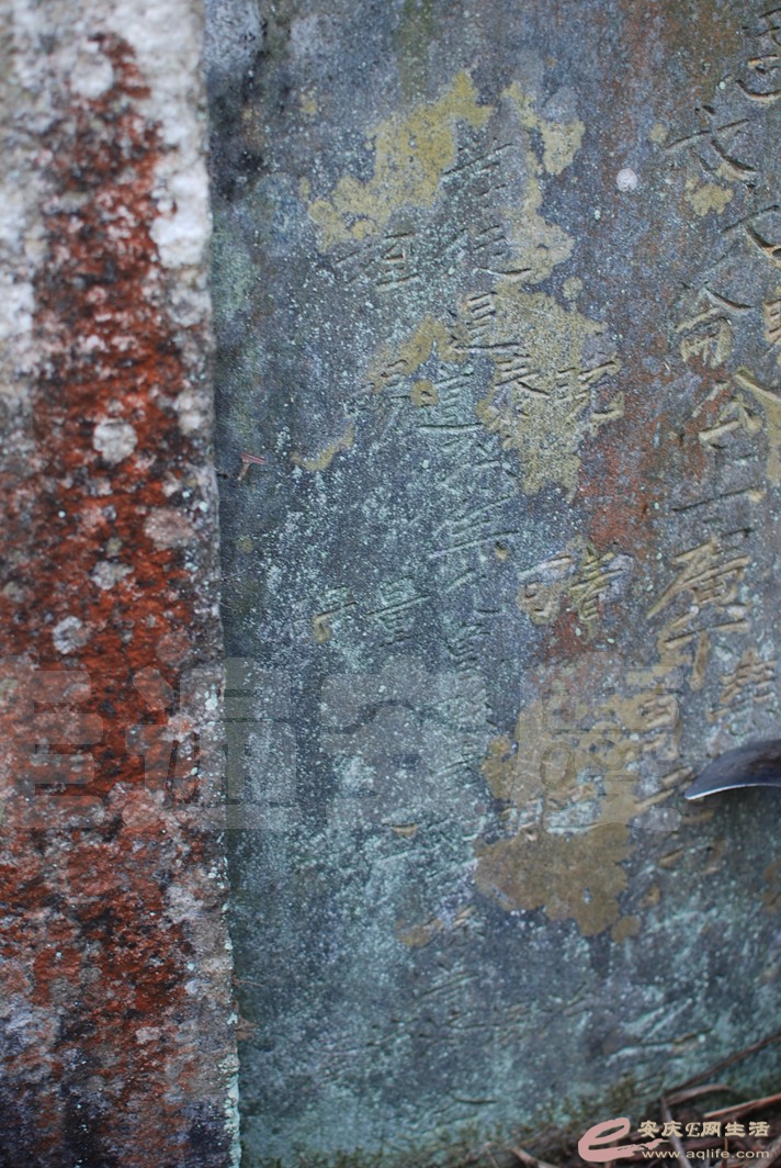 DSC_0674.jpg