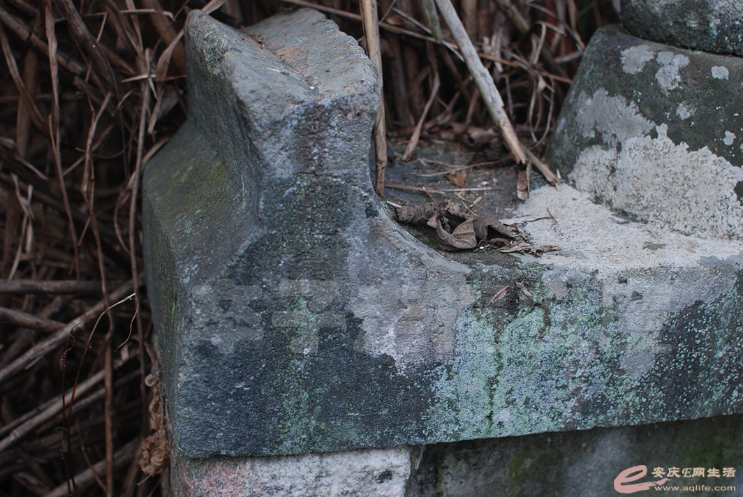 DSC_0679.jpg