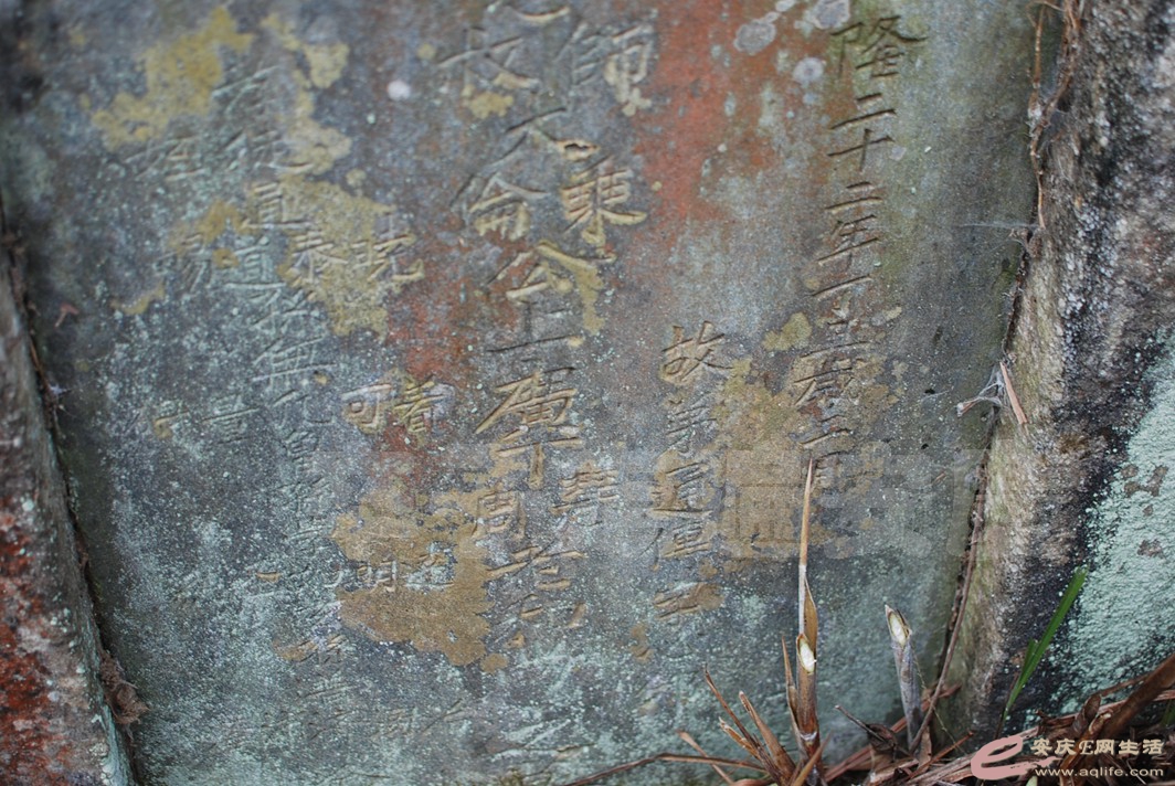 DSC_0682.jpg